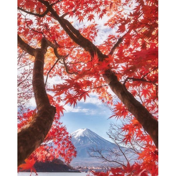 Pyramid International - Stampa Su Tela, Fuji PM6322 (50 Cm X 40 Cm) (Bianco/Rosso/Blu)-image