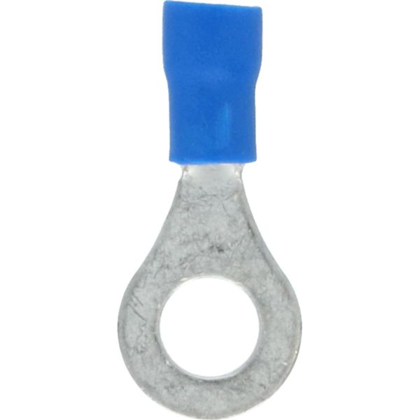 Carpoint Anello Capocorda 560 Blu M6 10 Pezzi-image