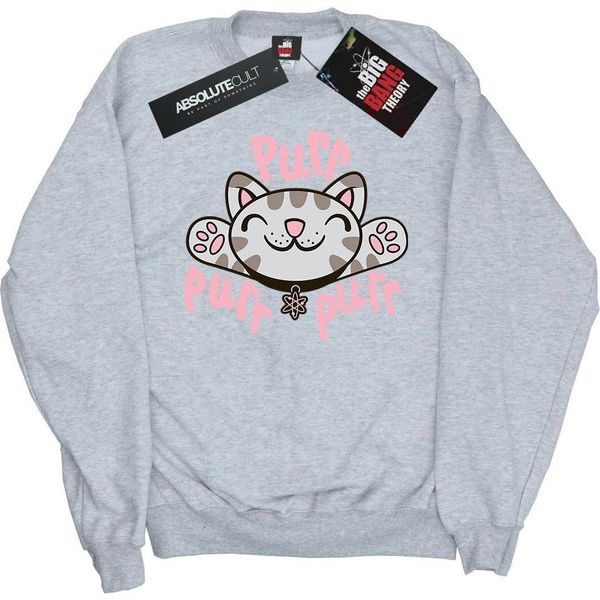 Big Bang Theory - Felpa "Soft Kitty Purr"" Per Ragazzi BI7207 (152-158) (Grau)"-image