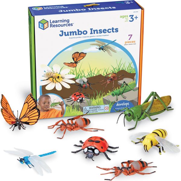 Giocattoli Learning Resources - Set Di Insetti Giganti Per Bambini-image