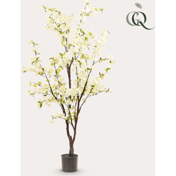 Pianta Artificiale - Fiori Di Ciliegio - Bianco - 175Cm-image