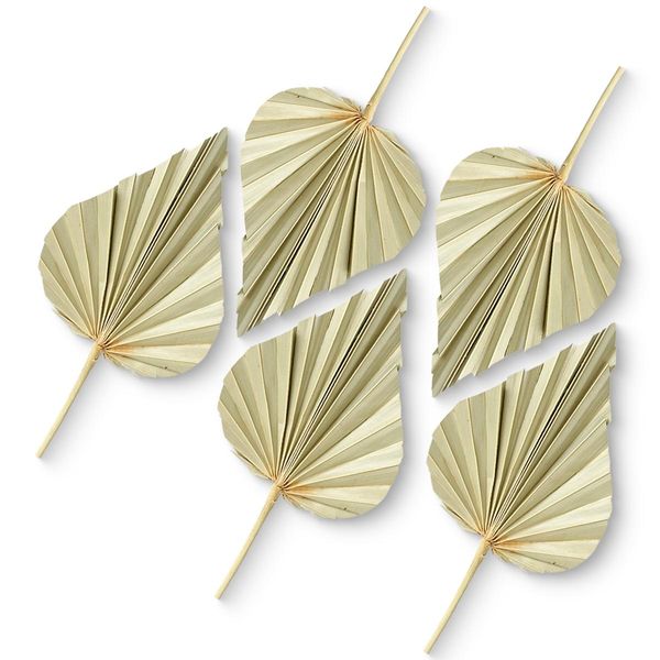 Lance Di Palma Decorative Decorazione Naturale Materiale Per L'artigianato Composizioni Naturali Set Di 5 11-13 Cm-image