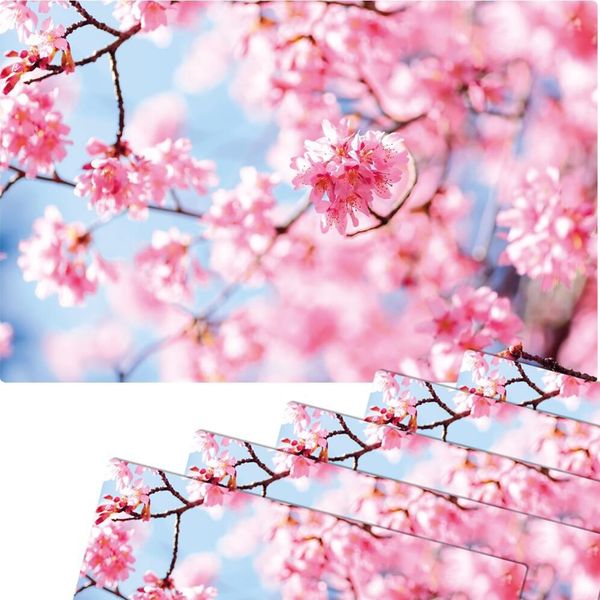 Set Di 6 Tovagliette Lavabili Con Fiori Di Ciliegio Primaverili-image