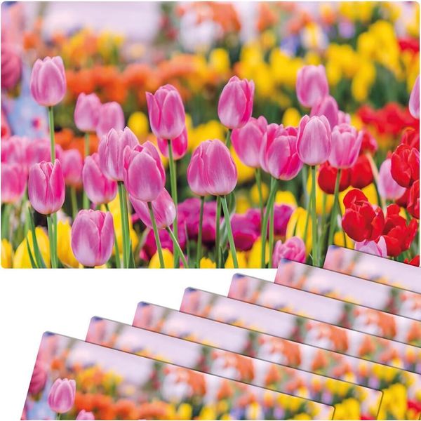 Set Di 8 Tovagliette Lavabili Con Fiori Di Tulipani Estivi Rosa-image