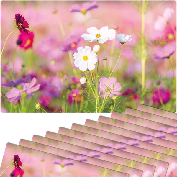 Set Di 12 Tovagliette Lavabili Rosa Prato Rosa Bianco-image