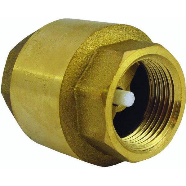 Valvola Di Non Ritorno A Globo Dn 15 - 1/2 Pollice Antiriflusso IG-IG Per Tubazioni Di Pozzi, Acqua Di Giardino, Pompe, Installazioni Idriche Dimensione: 1/2 Pollice-image