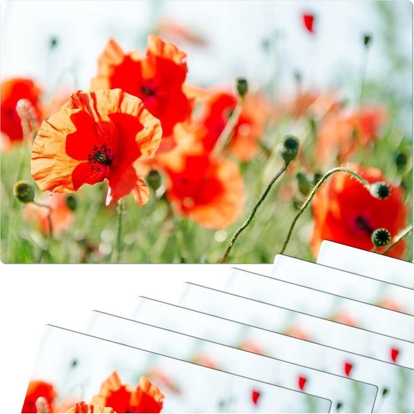 Set Di 8 Tovagliette Lavabili Con Fiori Di Papavero Estivi-image
