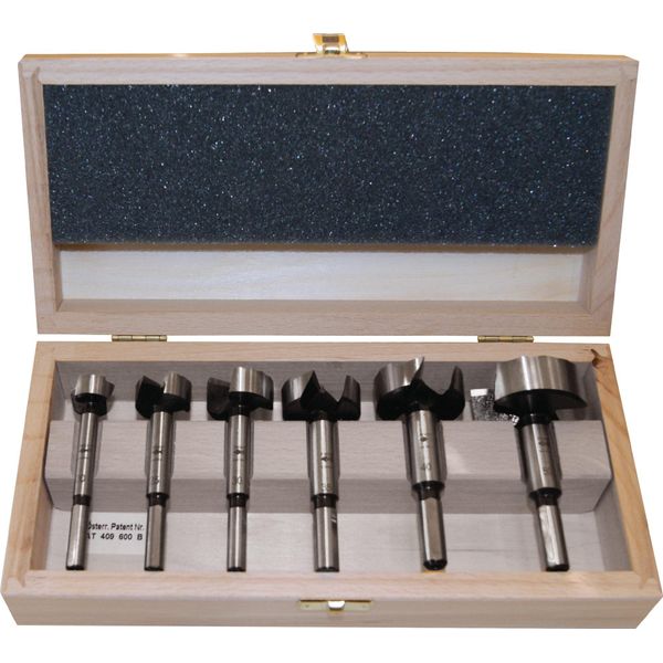Set Di Punte Forstner Tipo 0317 6 Pezzi D.20,25,30,35,40,50Mm FISCH-TOOLS-image