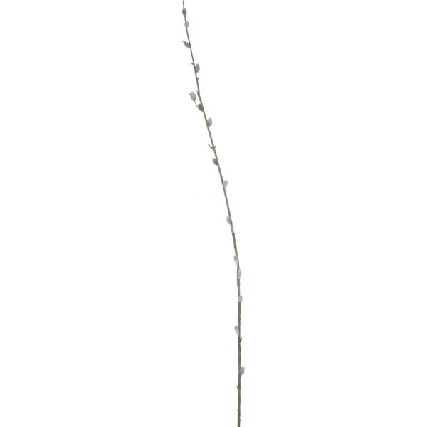 Hill Interiors - Pianta Artificiale, Willow Catkin HI3134 (103 Cm) (Marrone/Verde)-image