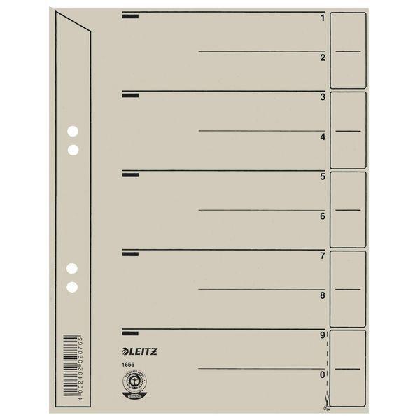 Leitz 1654-00-85 1654 TrennbläTter - Lochung GeöSt, ÜBerbreite, A4, Grau, 100 StüCk-image