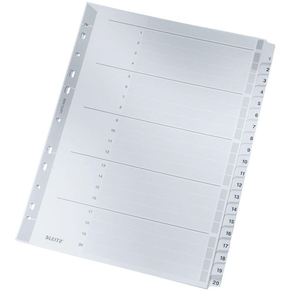Leitz 4326-00-00 4326 Indice Numerico - 1-20, A4, Cartone, 20 Fogli, Grigio-image