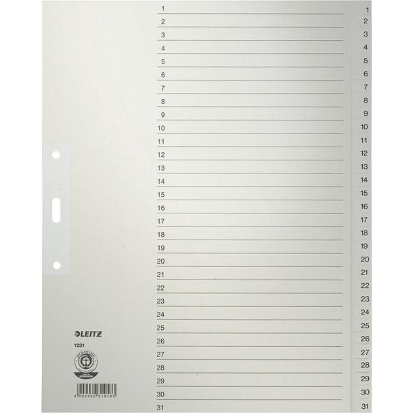 Leitz 1231-00-85 1231 Indice Numerico - 1-31, Carta, A4 Extra-Large, 31 Fogli, Grigio-image