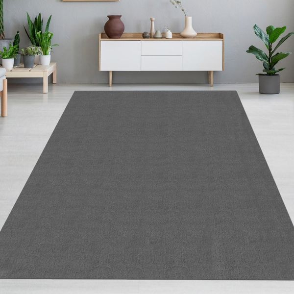 Tappeto Da Salotto Monocolore Moderno Morbido E Facile Da Pulire In Antracite Dimensioni - 120 Cm Rotondo-image