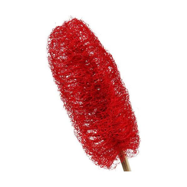 Luffa Piccola Su Stelo Rosso 25 Pz - Decorazione Floreale Decorazione Tombale Artificiale Decorazione Floreale Secca-image