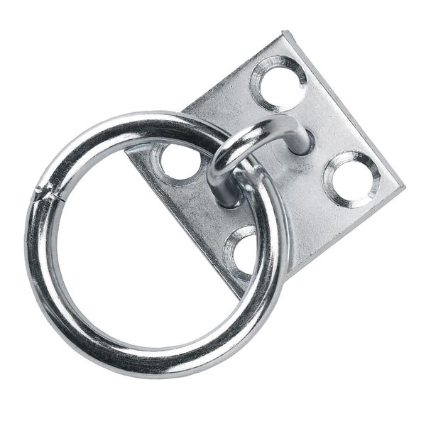 Piastra Dell'anello Di Legatura, Piastra Dell'anello Di Legatura Del Cavallo, Anello Di Accoppiamento Del Cavallo, Anello Di Legatura Del Cavallo Per La Stalla, Anello Di Legatura Del Cavallo Con Piastra, Cura Della Stalla Del Cavallo-image