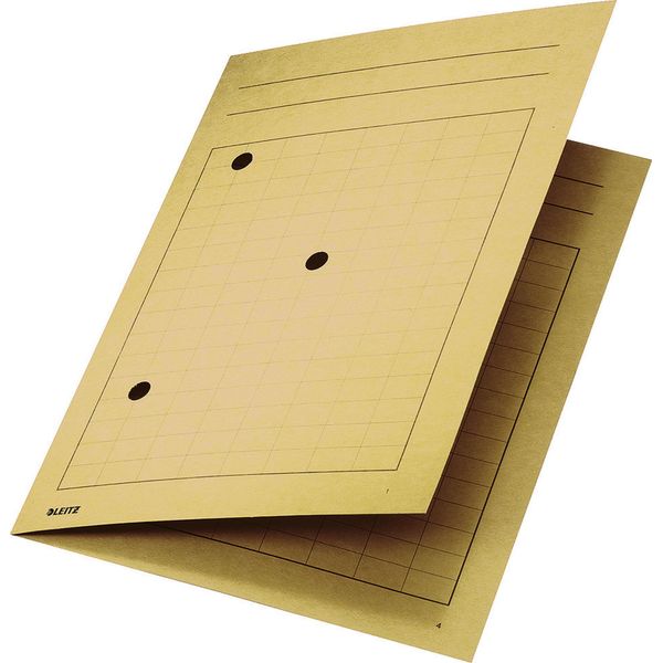 Leitz 3998-00-11 3998 Umlaufmappe, A4, Gitterdruck, Manilakarton 320 G/Qm, Chamois-image