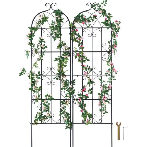 Set Di 2 Tralicci Di Sostegno Per Piante Rampicanti - Traliccio Di Sostegno Per Piante Rampicanti 51X180Cm - Ideale Per Piante Rampicanti Da Giardino-image
