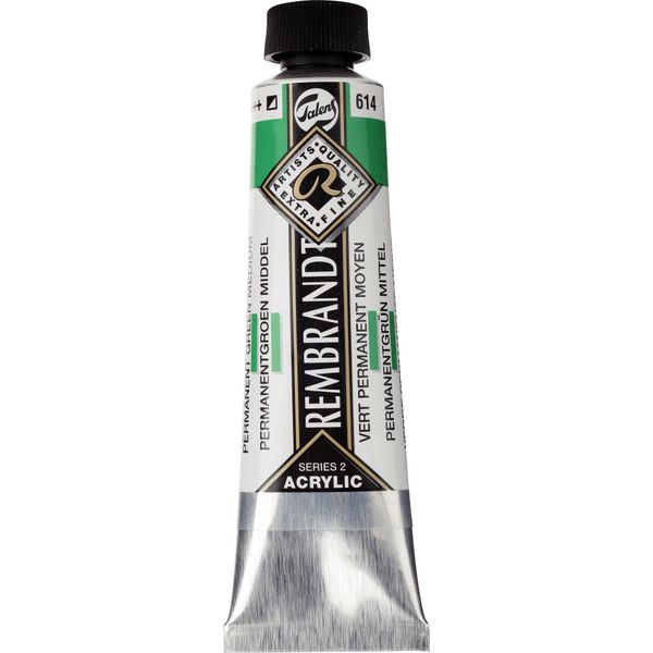 Tubo Di Colore Acrilico Rembrandt 40 Ml Verde Permanente Medio 614-image