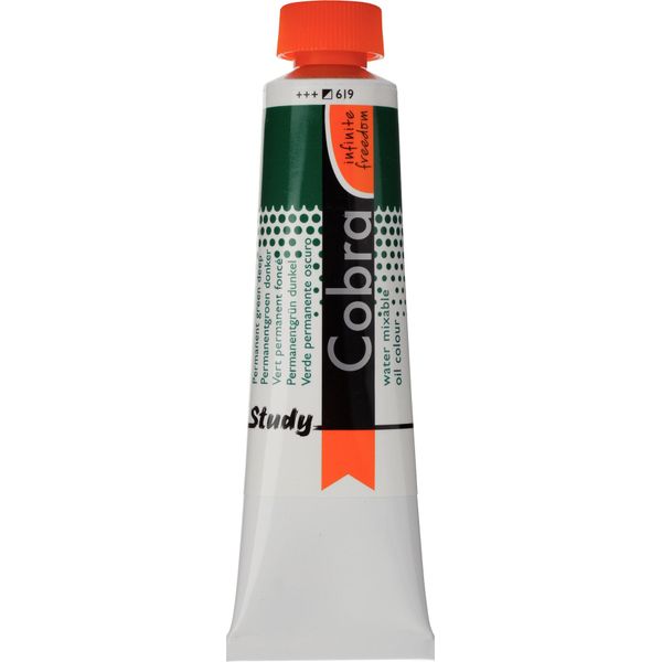 Cobra Study Vernice A Olio Miscelabile Con Acqua In Tubo 40 Ml Verde Scuro Permanente 619-image