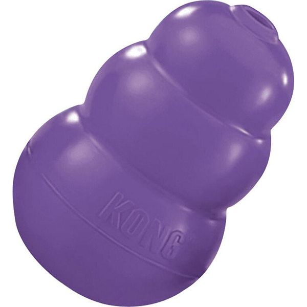 Kong Senior-image