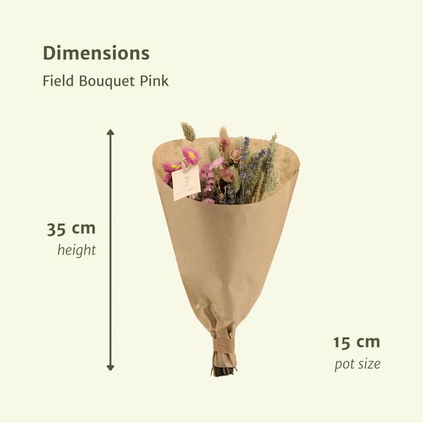 Bouquet Di Fiori Secchi In Rosa - Ø15Cm, Altezza 35Cm - Decorazione Di Lunga Durata Per La Casa-image