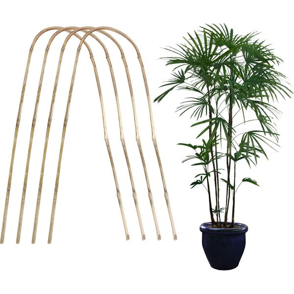 Traliccio Per Piante Elegante Traliccio Per Piante Rampicanti In Bambù Per Il Giardino Di Casa Pianta In Vaso-image