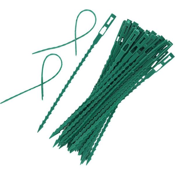 100PCS Fascette Per Alberi Fascette Per Piante Regolabili Fascette Per Giardini Fascette Flessibili Per Piante Per Il Sostegno Di Piante Di Rose E Arbusti-image