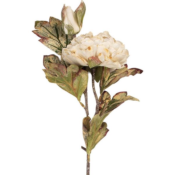 Fiore Artificiale Clayre & Eef 12X10X77 Cm In Plastica Bianca-image