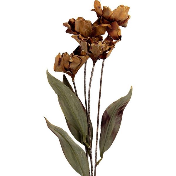 Fiore Artificiale Clayre & Eef 8X5X60 Cm In Plastica Marrone-image