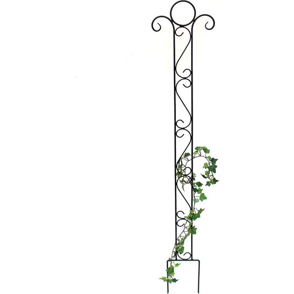 Supporto Classico Per Arrampicata Traliccio In Metallo 135 Cm Ausilio Per Arrampicata Spina A Terra Spina-image