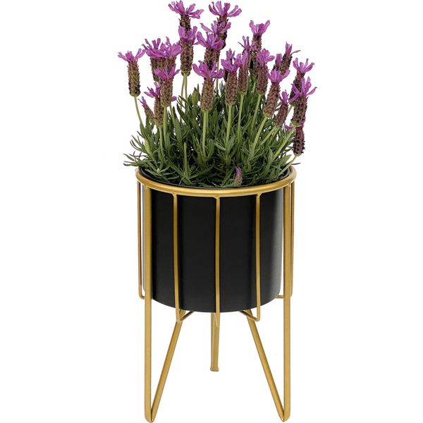 Dandibo Sgabello Per Fiori Con Vaso In Metallo Oro Nero Rotondo S 32 Cm Supporto Per Fiori 96039 Colonna Per Fiori Supporto Per Piante Moderno Sgabello Per Piante-image