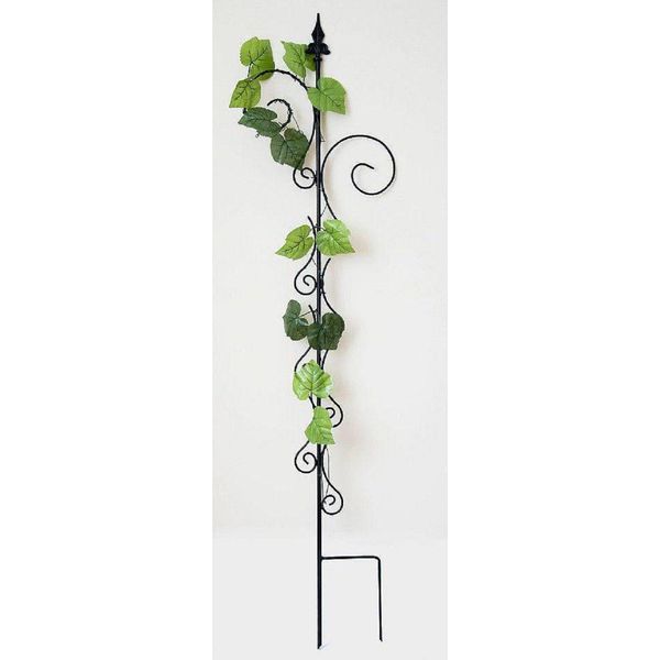 Dandibo Supporto Per Arrampicata Con 2 Supporti Traliccio Per Arrampicata In Metallo H-145 Cm L-30 Cm Aiuto Per Arrampicata 2 Ganci-image