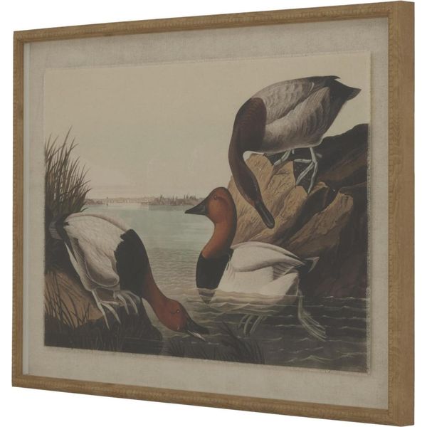 Hill Interiors - Arte Murale Incorniciata "Flora & Fauna Collection"", Pannello Anatre HI5183 (45 Cm X 2 Cm X 62 Cm) (Marrone/Bianco/Nero)"-image