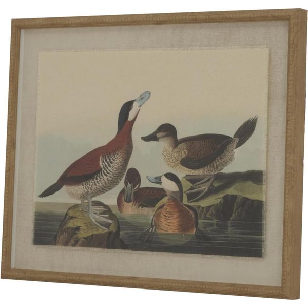Hill Interiors - Quadro Da Parete "Flora & Fauna Collection"", Anatre HI5172 (50 Cm X 2 Cm X 40 Cm) (Marrone/Bianco/Nero)"-image