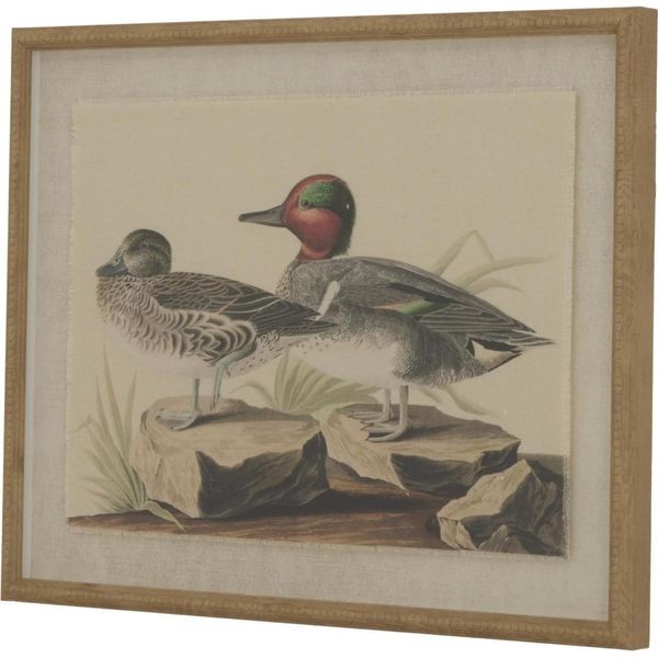 Hill Interiors - Arte Murale Incorniciata "Flora & Fauna Collection"", Verde Acqua HI5178 (50 Cm X 2 Cm X 40 Cm) (Marrone/Bianco/Nero)"-image