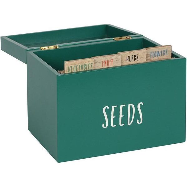 Something Different - Contenitore "Seed"" SD3172 (Taglia Unica) (Verde)"-image