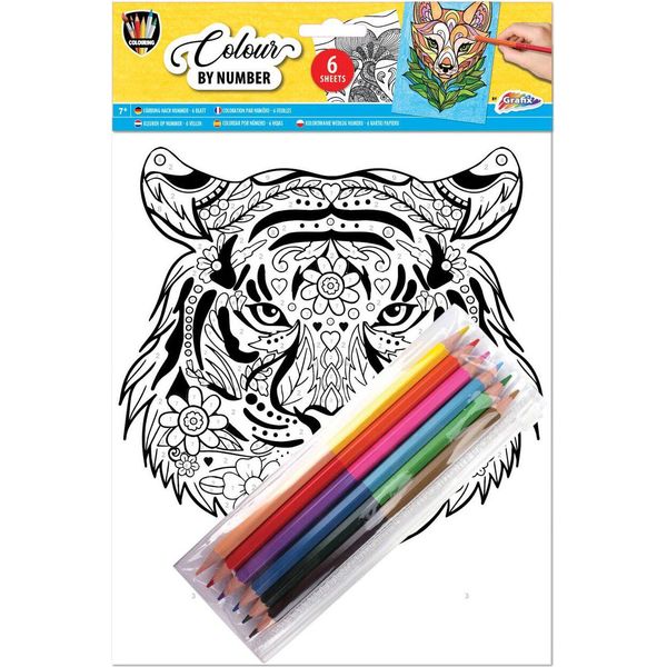 Dipingere Con I Numeri Tigre E Pastelli-image