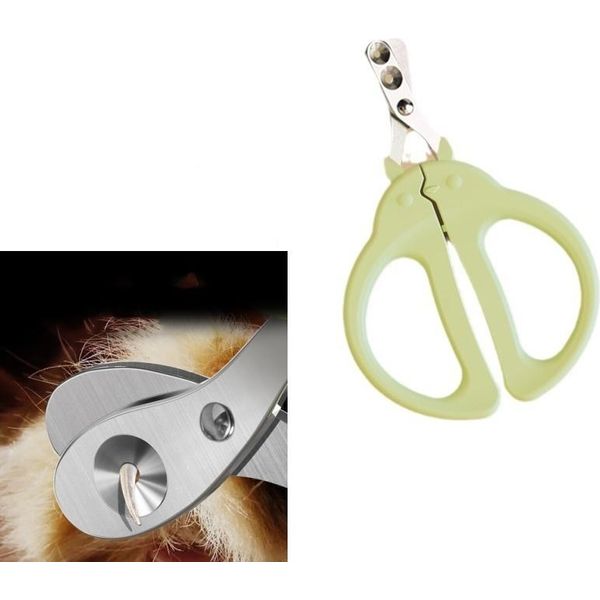 Inf Tagliaunghie Per Animali Domestici-image