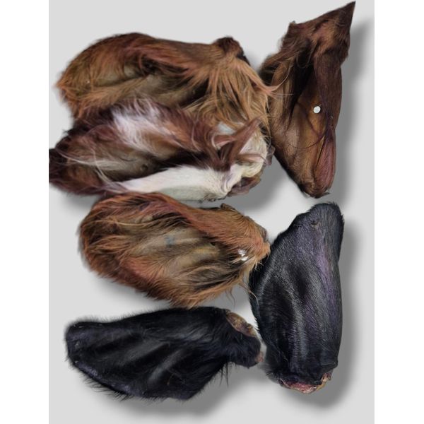 50 Pezzi Premium Orecchie Di Manzo Essiccate Con Pelliccia Xxl Da Masticare Per Cani Snack Per Cani-image