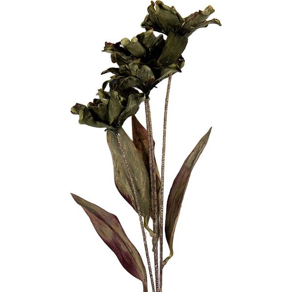 Fiore Artificiale Clayre & Eef 8X5X60 Cm Plastica Verde-image