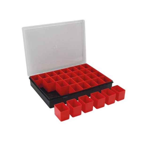 Tayg - Organizer - 330 X 247 X 54 Mm - 32 Contenitori Rimovibili - 4,4 L-image