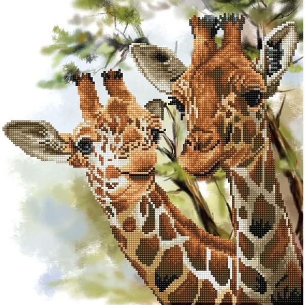 Diamond Dotz DD8-017 Tall & Tender 41X41 Cm-image