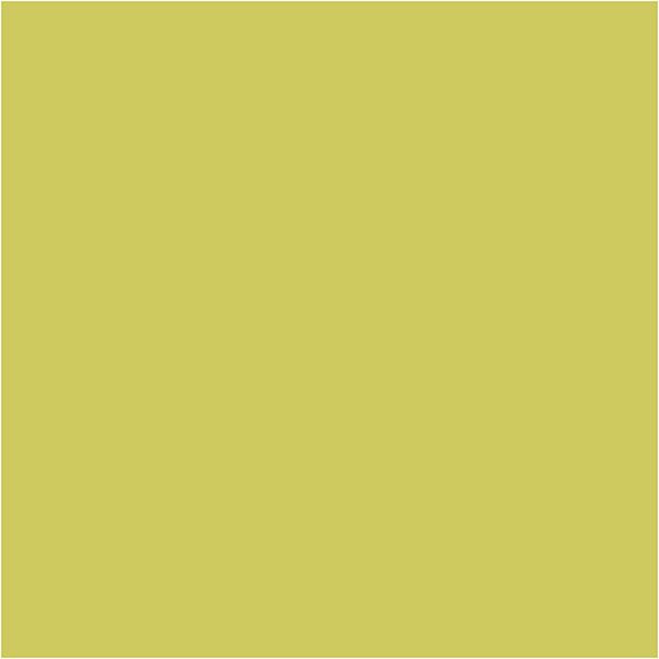 Creativ Company Cc Creotime Textile Colour Solid Kiwi 50 Ml-image