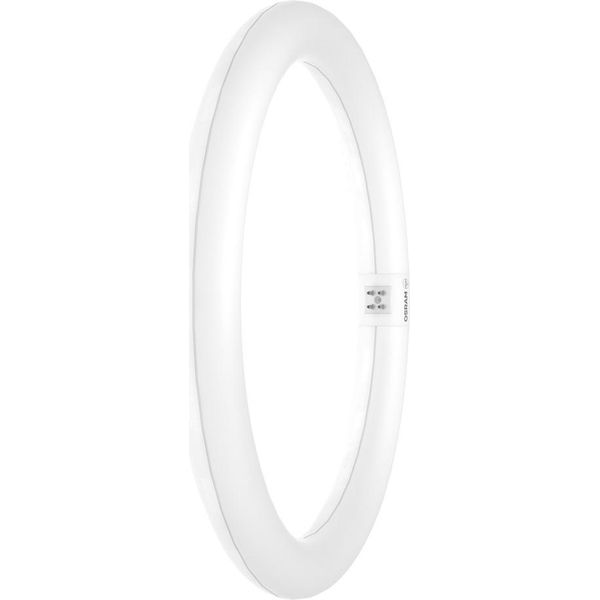 Osram Led Tube T9C Em 32, Tubo Led Ad Anello, 18,3W, 2200Lm, 6500K, Luce Bianca Diurna, Alternativa Led Per Le Classiche Lampade Fluorescenti T9, Lunga Durata, Basso Consumo Energetico-image