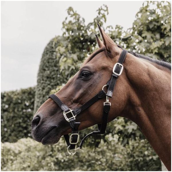 Kentucky Horsewear Cavezza Da Scuderia In Nylon Intrecciato Cavezza In Nylon Nero Cob-image