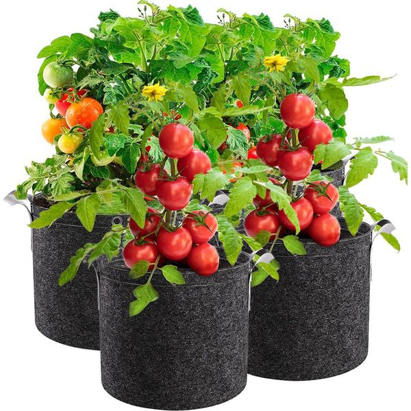 5Pcs Tessuto Pentola 3 Gallon Patate Piantare Borsa Pomodoro Vasca Di Patate, Garden Bag Tessuto Vasi Piantare Pentola Per Patate Pomodori Fiori, Nero-image