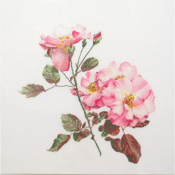 Thea Gouverneur Kit Punto Croce "Rosa Leersum Evenweave"", 44X44Cm"-image
