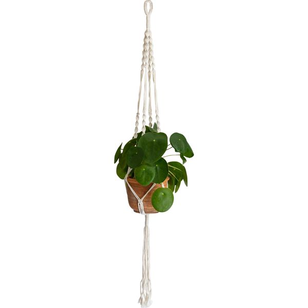 Quvio Appendiabiti Per Vaso Di Fiori - Vaso Di Fiori Da Appendere - Appendiabiti Per Piante In Macramè - Appendiabiti Per Piante Da Interno - Vaso Da Appendere - Corda Intrecciata Con Spirali-image