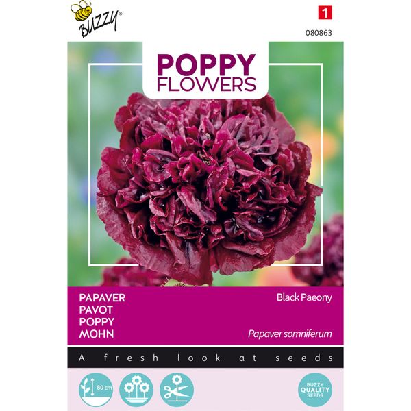 Buzzy Poppy Fiori Papavero Nero Semi Di Peonia - Circa 0,08 Gr | Buzzy_080863-image