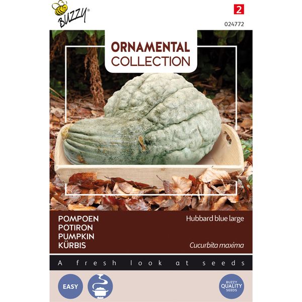 Buzzy Zucca Ornamentale Hubbard Semi Grandi Blu - Circa 3 Gr | Buzzy_024772-image